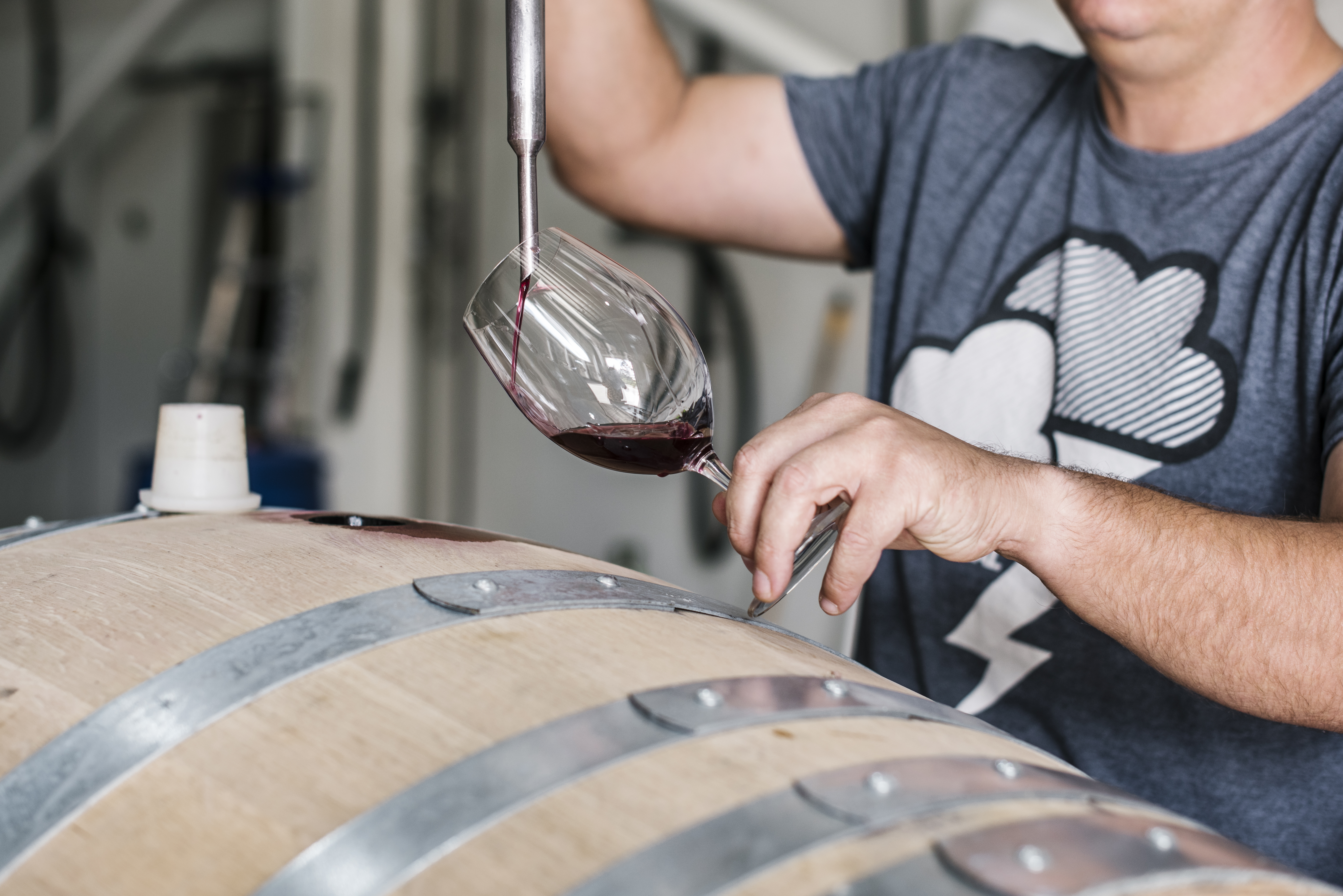 Explore our working winery with the DeWine experience!