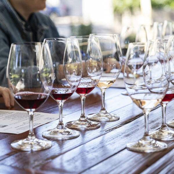 Wine guests enjoy the De Iuliis DeWine experience