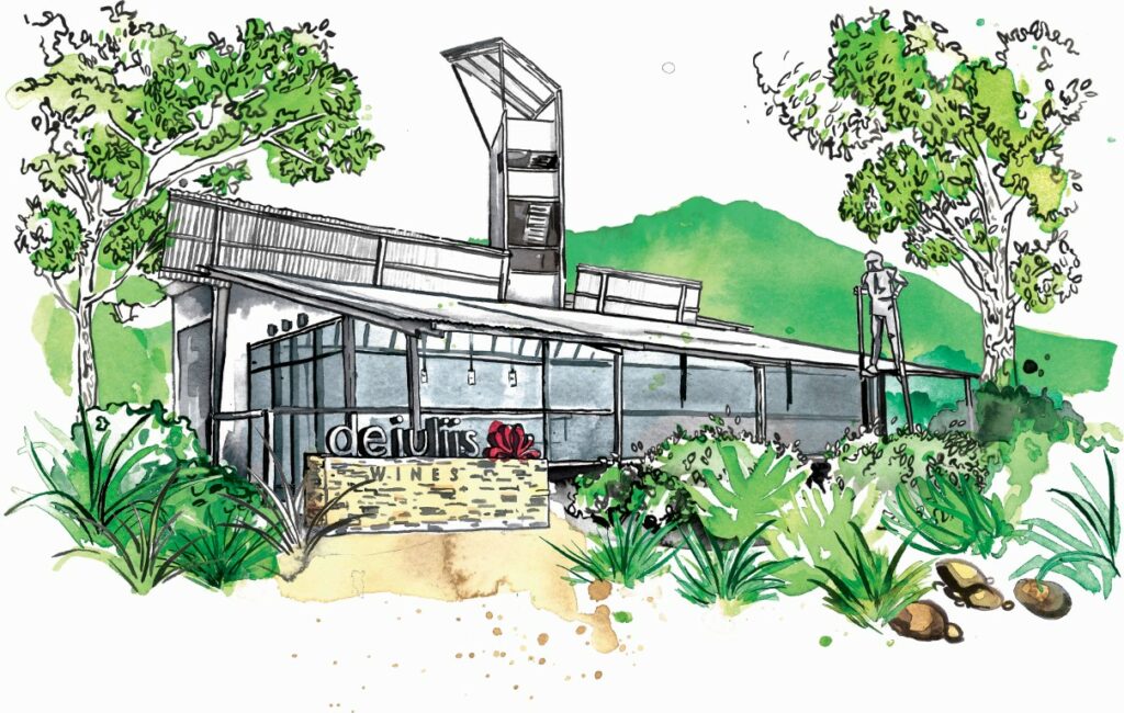 An illustrated image of the De Iuliis cellar door which is a Hunter Valley winery