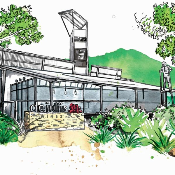 An illustrated image of the De Iuliis cellar door which is a Hunter Valley winery