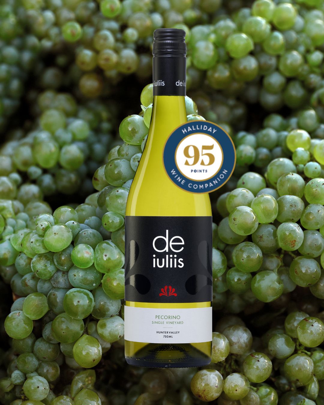 95 Points! De Iuliis 2024 Steven Vineyard Pecorino Shines in Halliday Wine Companion