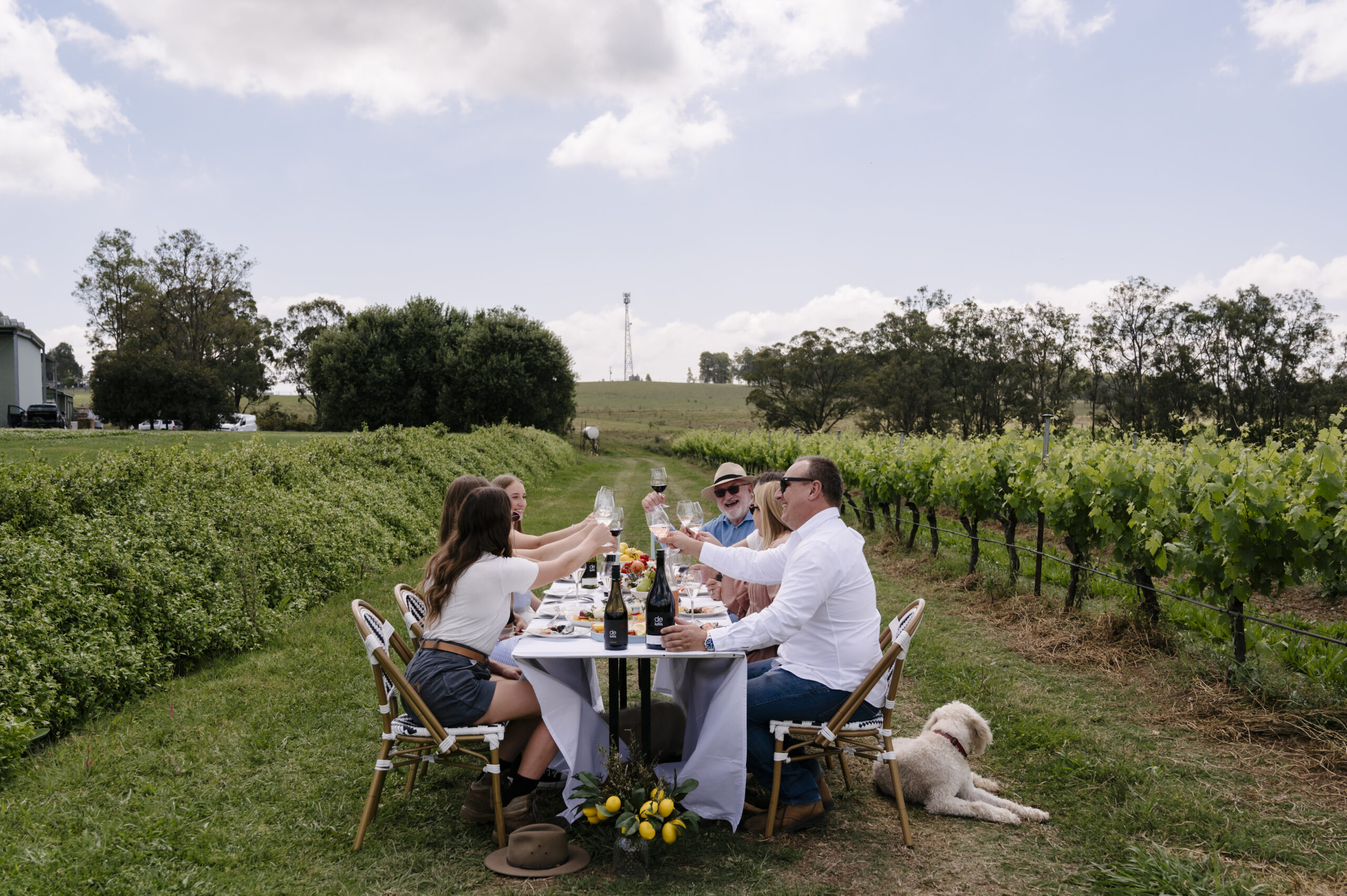 Newcastle Herald: New Pecorino Hit
