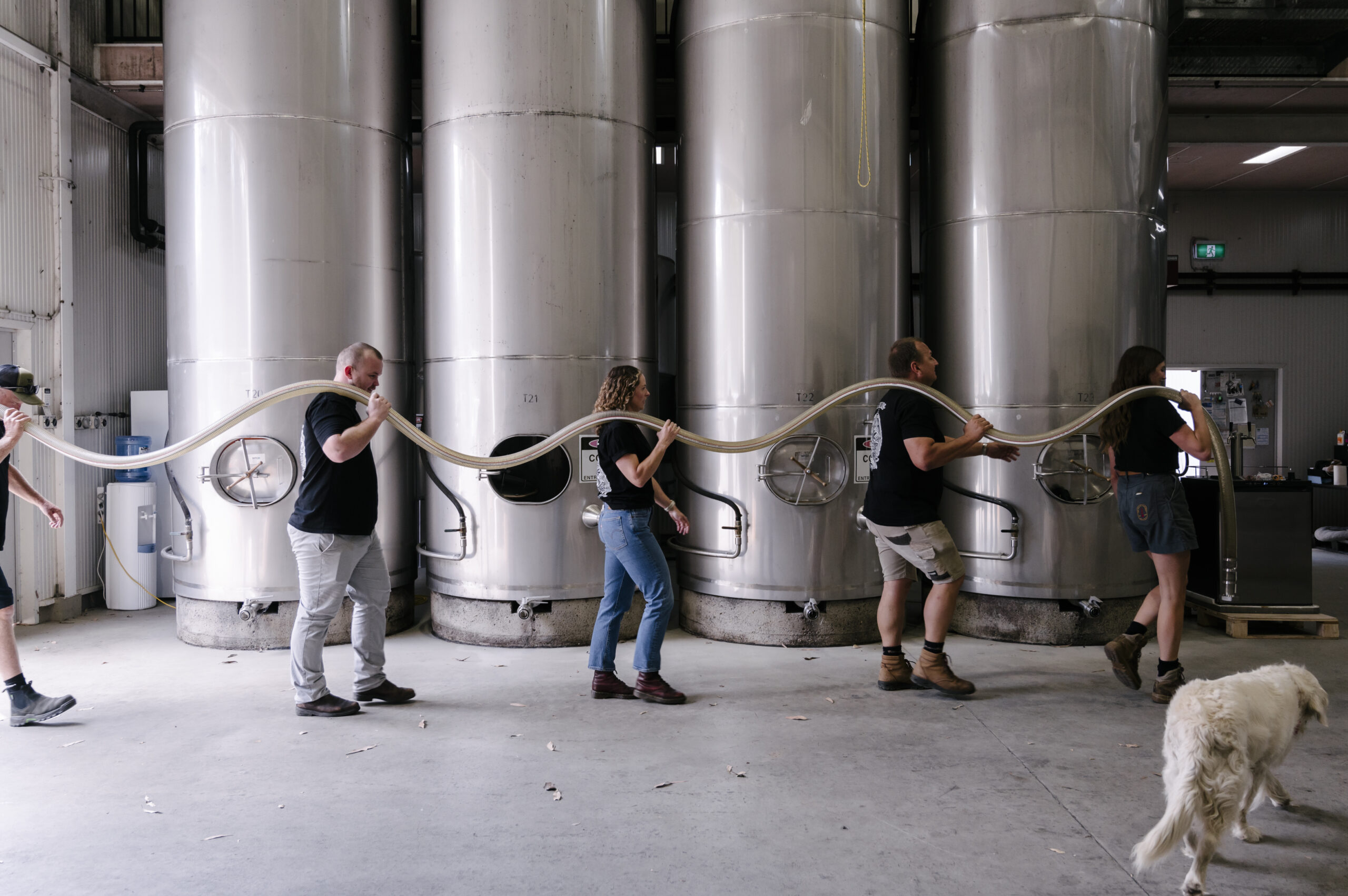 Hunter Valley Shiraz – Rooted in History, Defined by Craft