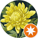 Schaper-Lim profile picture