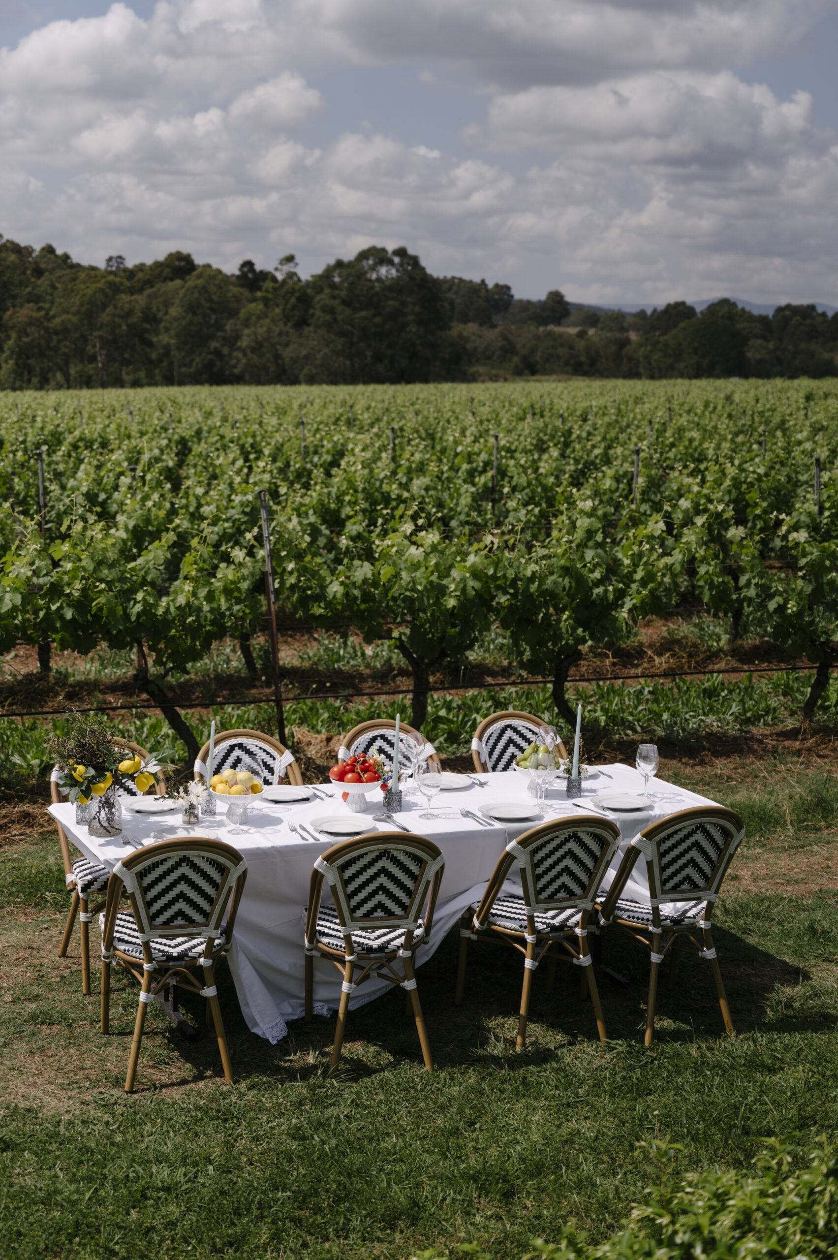 Spring Has Sprung: Meet Our Vibrant New Releases